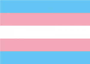 Trans Pride